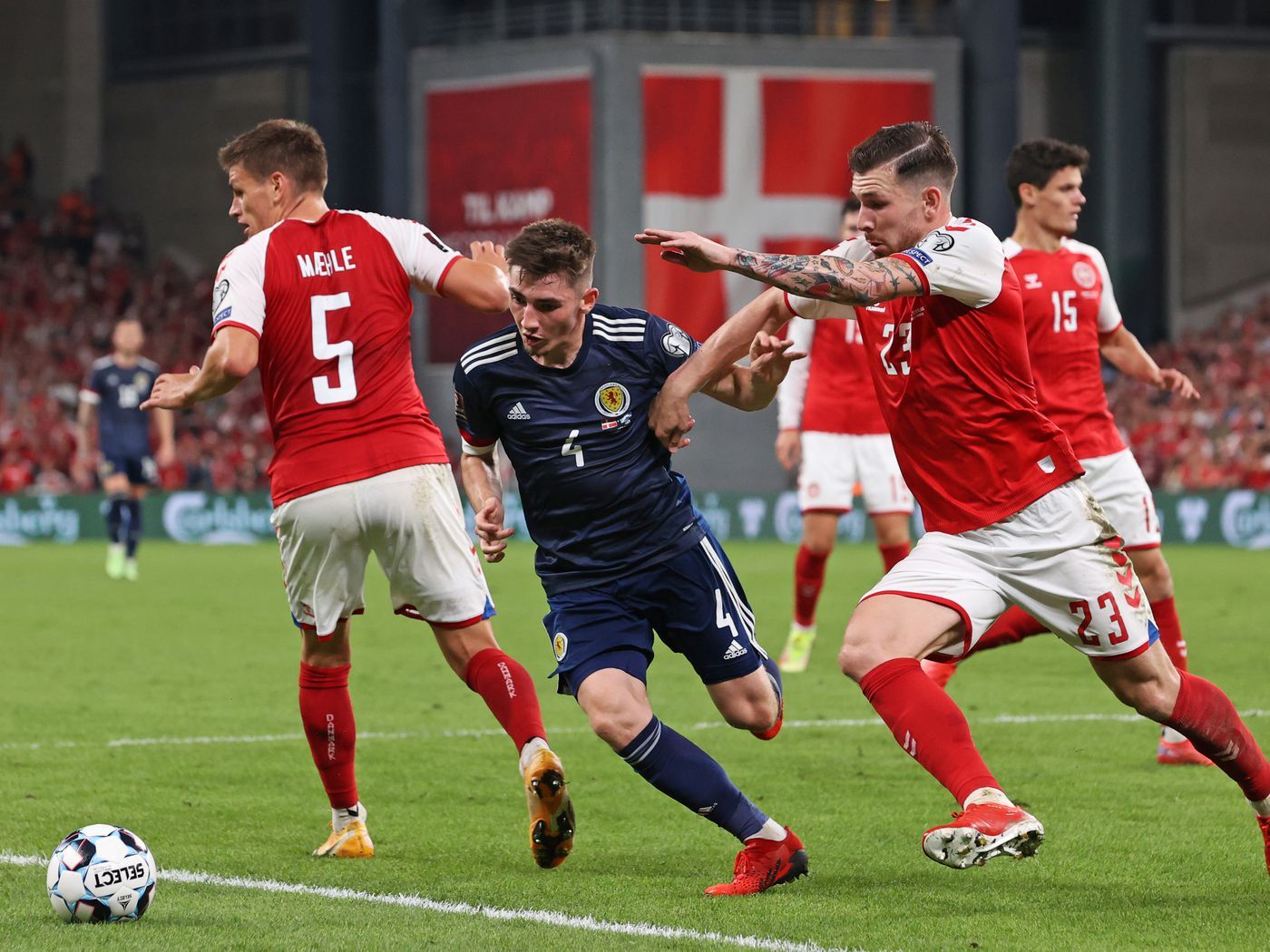 Scotland - Denmark: Bets and Odds for the match on November 15