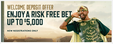 Risk free bet
